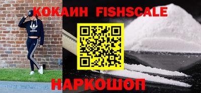 индика Гусев
