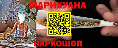 индика Гусев