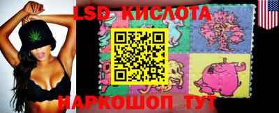индика Гусев