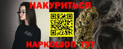 индика Гусев