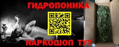 индика Гусев