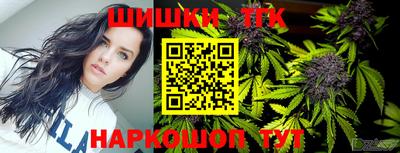 индика Гусев
