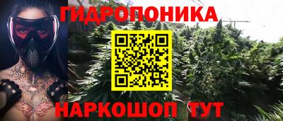 дживик Гусь-Хрустальный