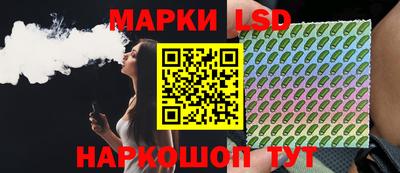 индика Гусев