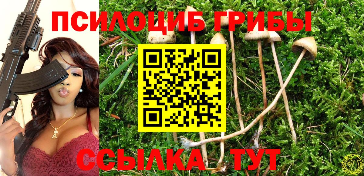 Красногорск  Псилоцибиновые грибы Psilocybe  цены наркотик  Вход с VPN  Галлюциногенные грибы Cubensis 
