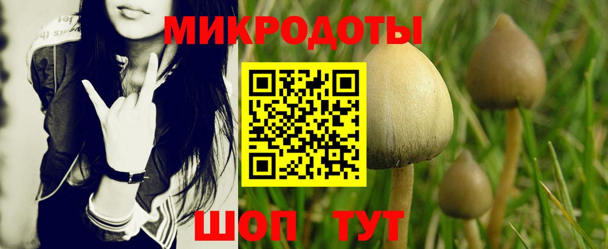 Галлюциногенные грибы Magic Shrooms Красногорск